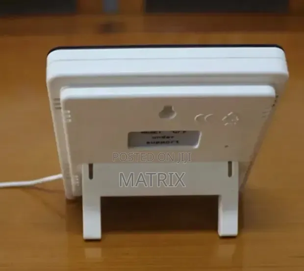 Digital Portable Fridge Thermometer