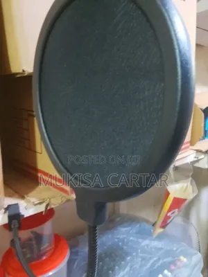 Mic Filter Studio Pro