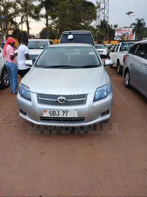 Toyota Corolla Fielder 2009 Silver