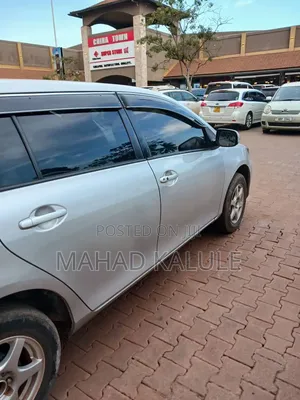 Toyota Corolla Fielder 2009 Silver