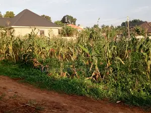 Well Organised Estate in Corporate Area – Quick Sale