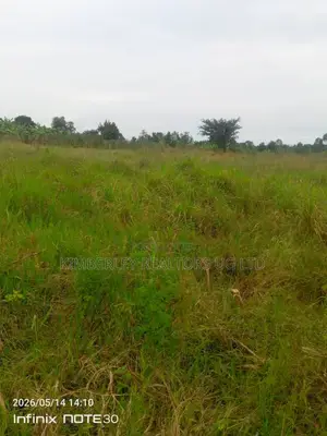 Lake Front Industrial Property For Sale – Jinja