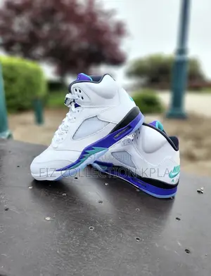 Airjordan Retro Grape