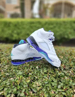 Airjordan Retro Grape