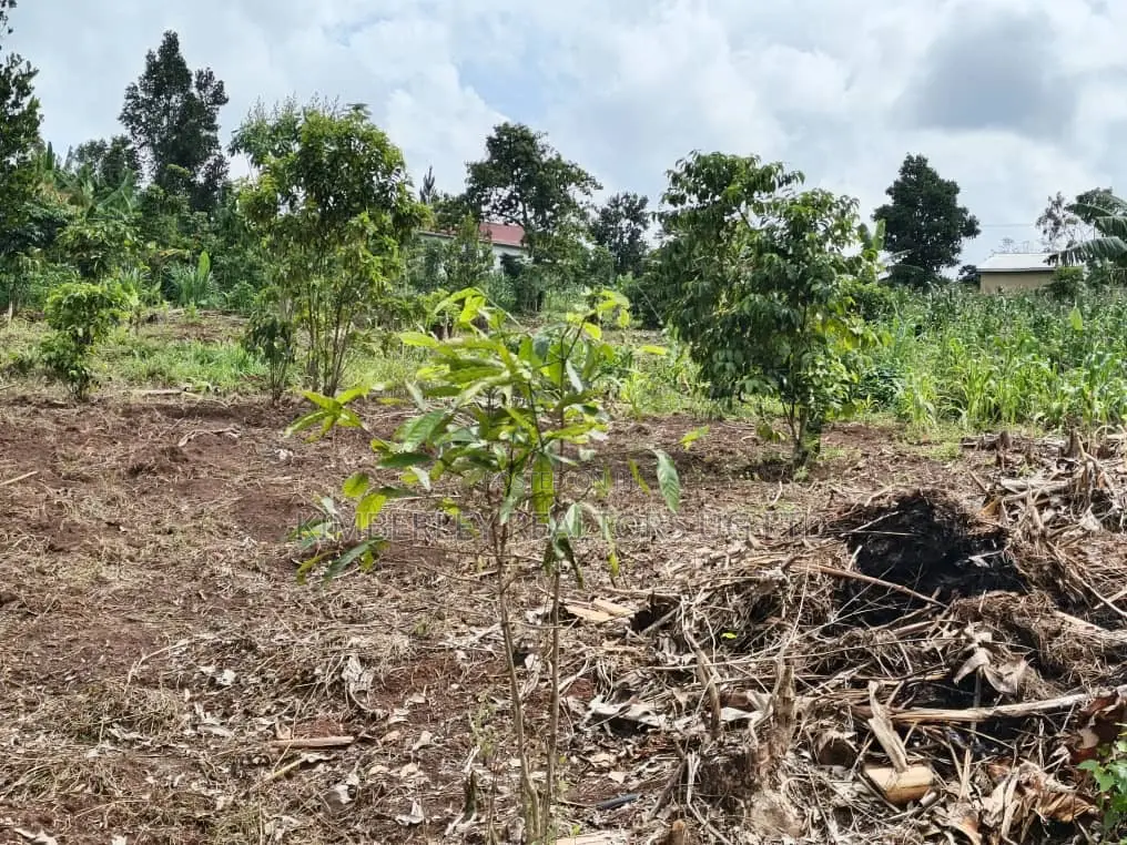 Plot for Sale – Mbalala (Mukono)