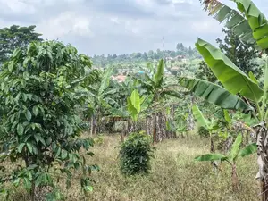 Plot for Sale – Mbalala (Mukono)