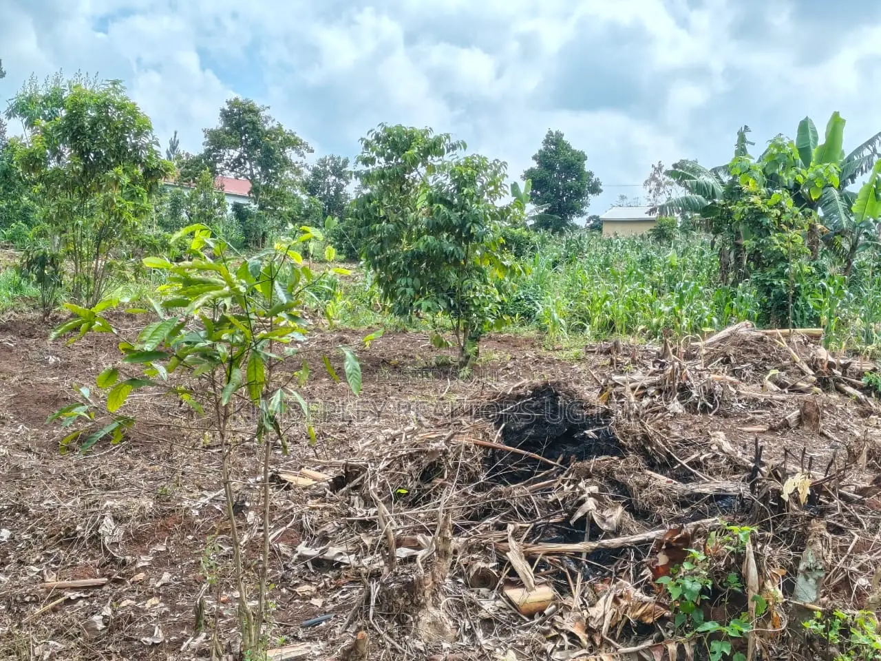 Plot for Sale – Mbalala (Mukono)