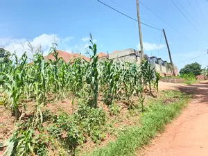 Hot Plot for Sale – Sonde Hill View Estate