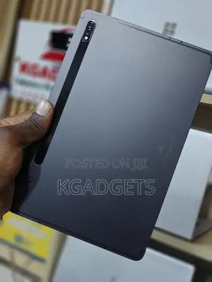 Samsung Galaxy Tab S8 128 GB Gray