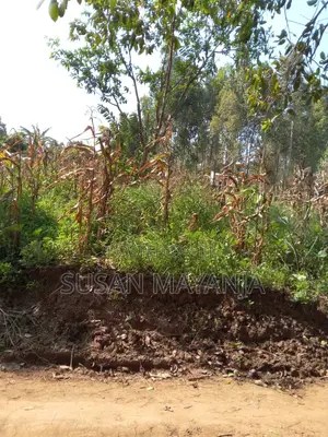 Half Acre on Hill in Lutembe