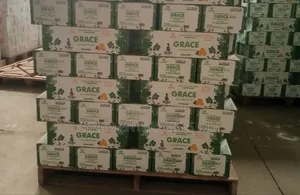 Grace Gold Laundry Bar Soap