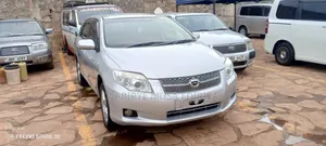 Toyota Corolla Fielder 2010 Silver