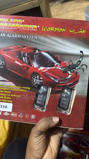 Car Alarm System