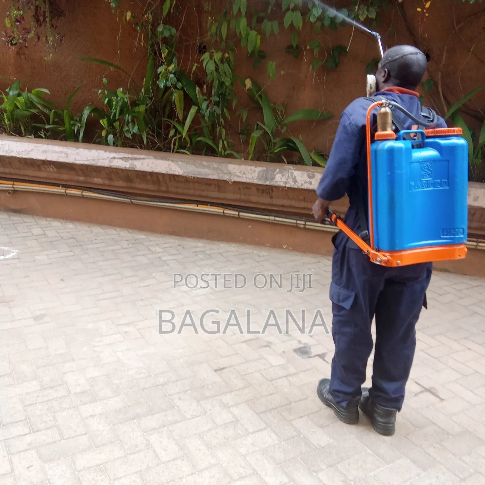 Fumigation Services
