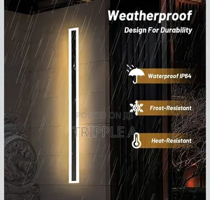 Outdoor Wall Light