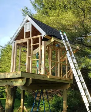 Tree House Construction