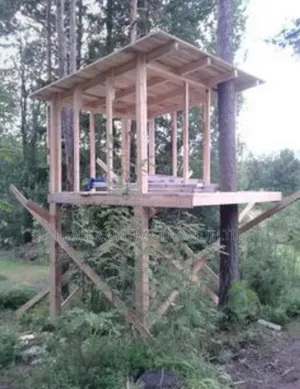 Tree House Construction