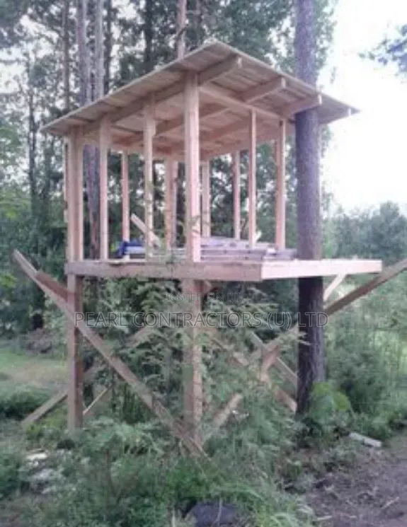 Tree House Construction