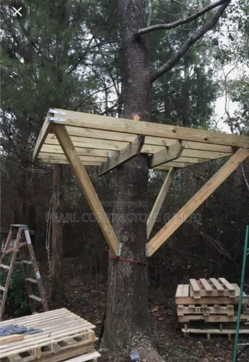 Tree House Construction
