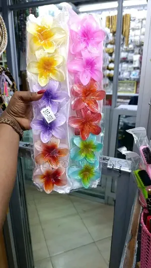 Mona Hair Clips