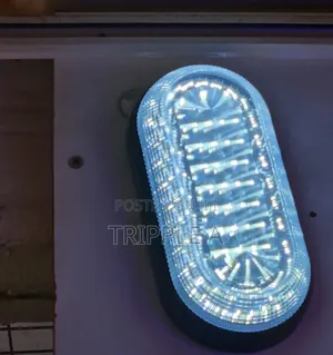 Modern Oval Bulkhead Led Wall Light