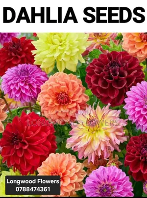 Flower Seeds