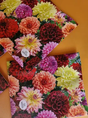 Flower Seeds