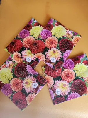 Flower Seeds