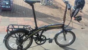 Electric/ Manual Adult Bike
