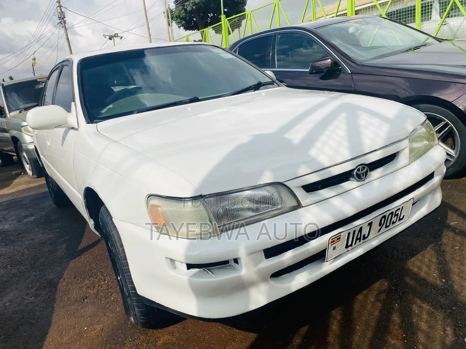 Toyota Corolla 1998 White