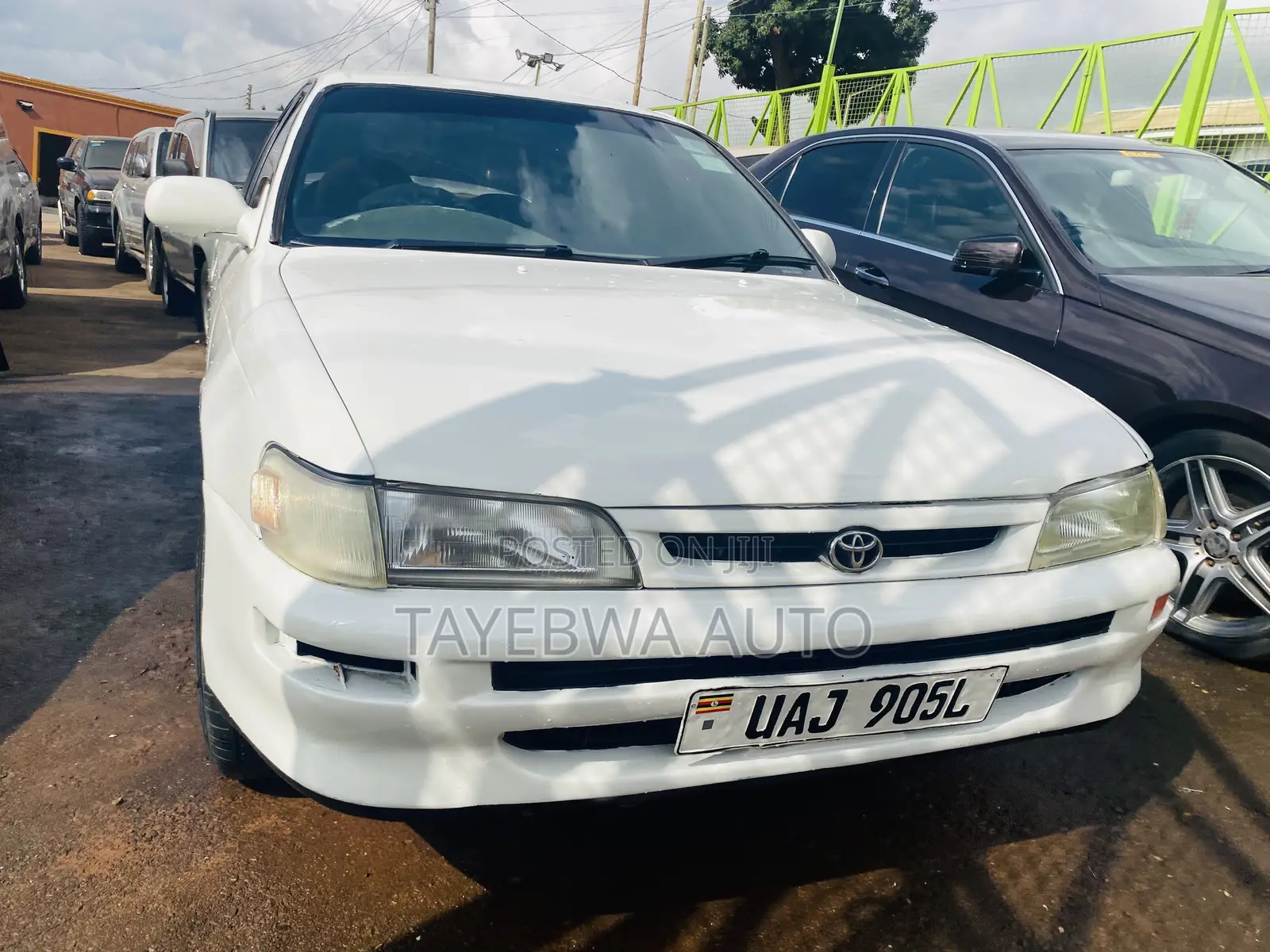 Toyota Corolla 1998 White