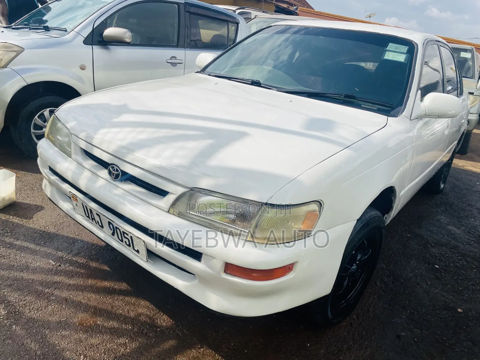 Toyota Corolla 1998 White