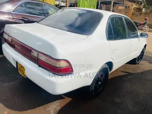 Toyota Corolla 1998 White