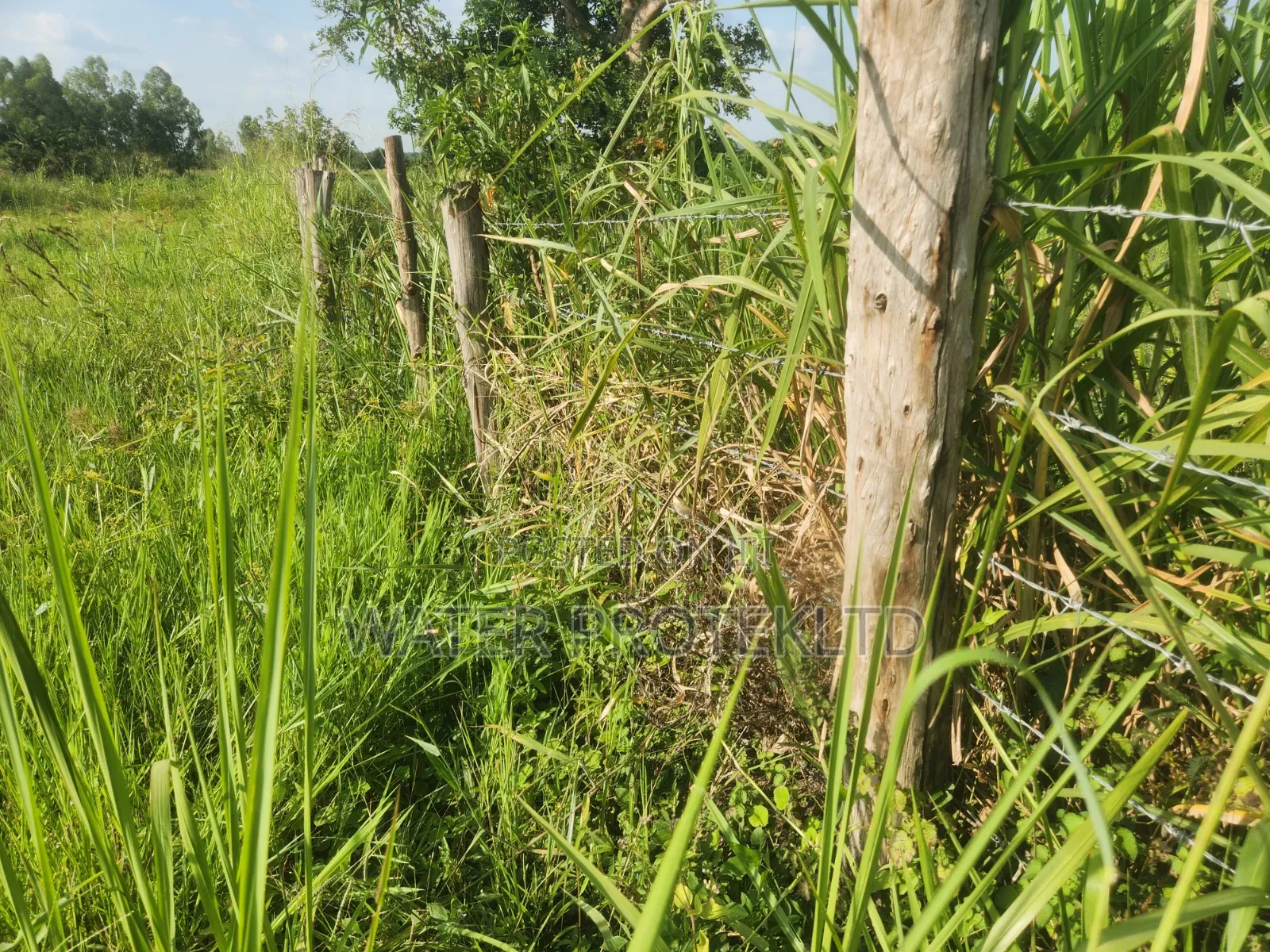 Fenced Farm Land in Bugiri