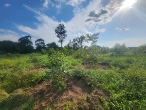 Fenced Farm Land in Bugiri