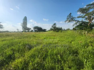 Fenced Farm Land in Bugiri