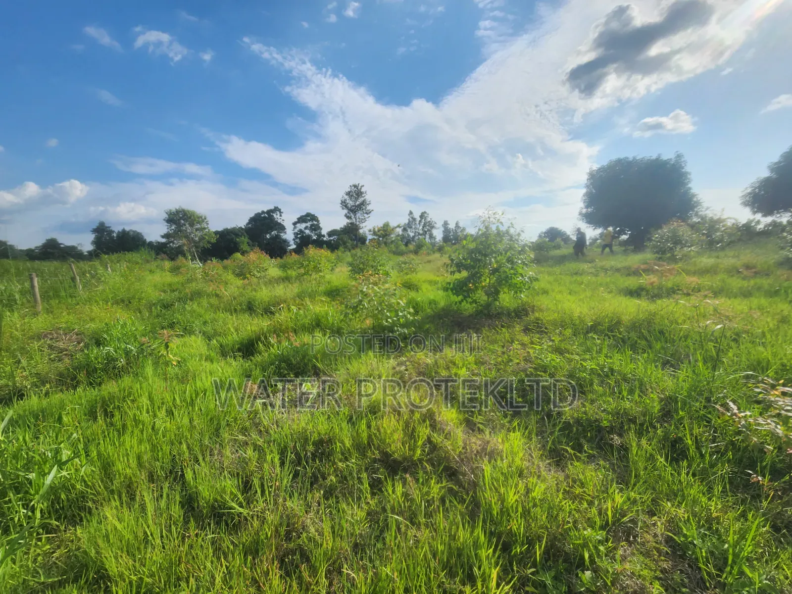 Fenced Farm Land in Bugiri