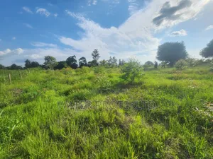 Fenced Farm Land in Bugiri