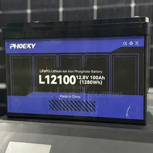 100ah 12v Phoeky Lithium Ion Phosphate Battery