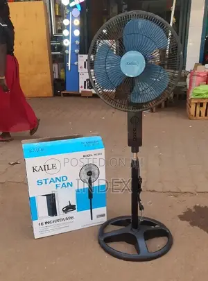 Kaile Standing Fan -Black