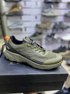 Ecco Canyonstride Brown