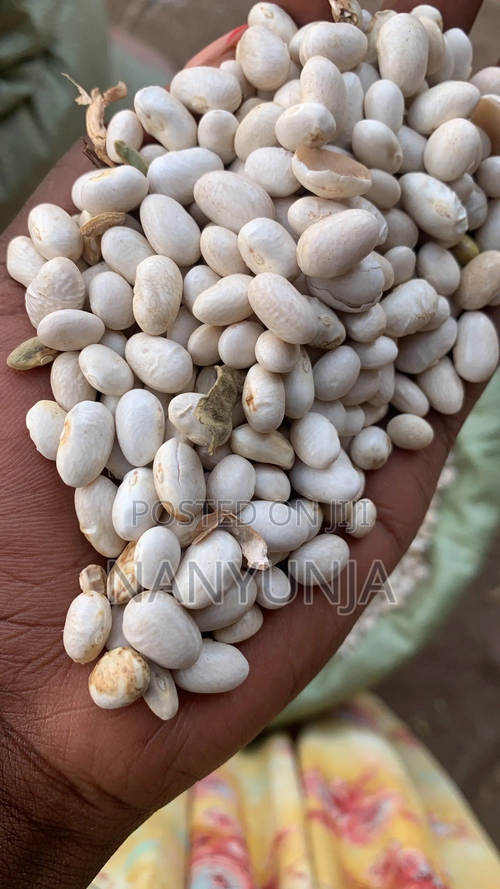 White Beans
