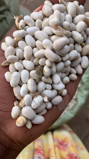 White Beans