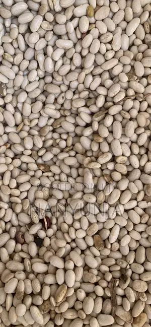 White Beans