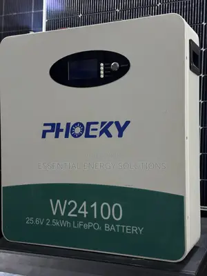 2.5kwh 24v Lithium Phosphate Battery