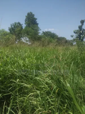 Land in Koro Abili Near Power Sub-Station