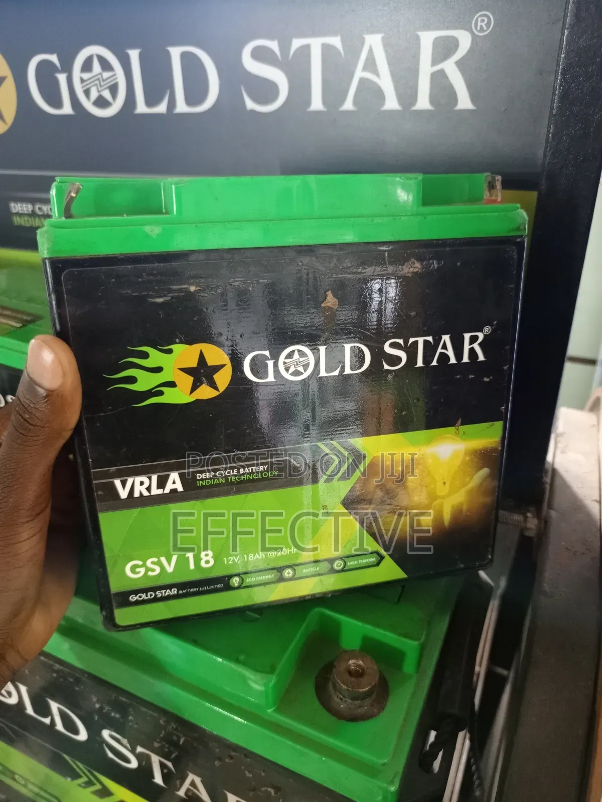 18 Vrla Deep Cycle Battery.