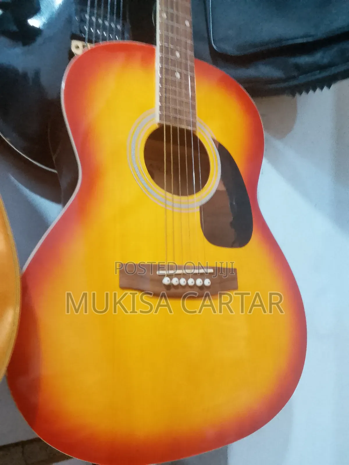 Acoustic Guitar Pro