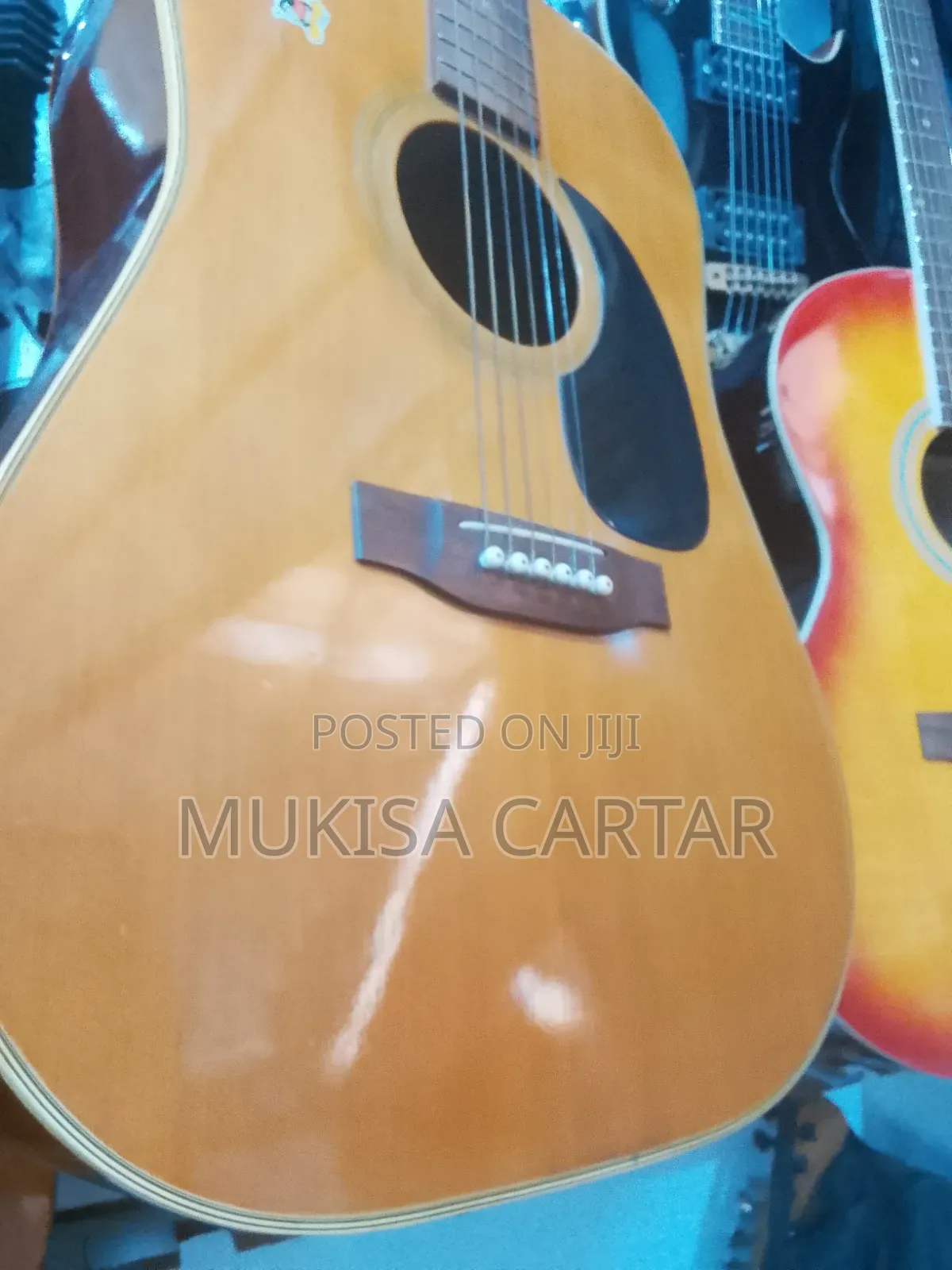 Acoustic Guitar Pro