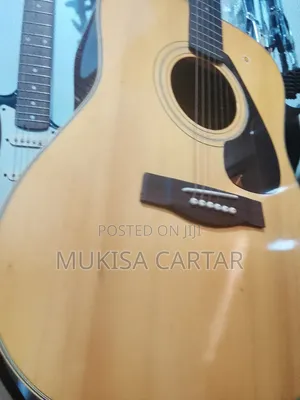 Acoustic Guitar Pro